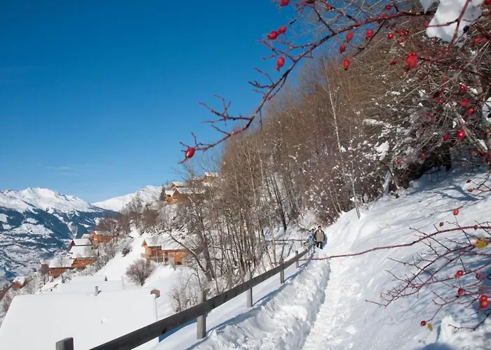With Front Balcony Veysonnaz